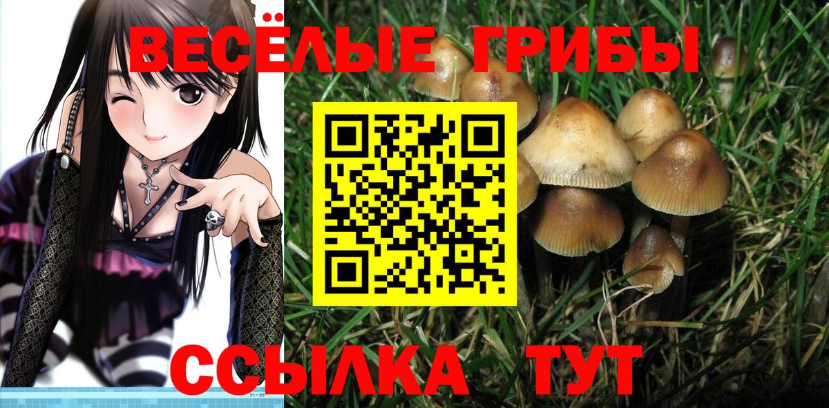 Псилоцибиновые грибы прущие грибы Алексеевка