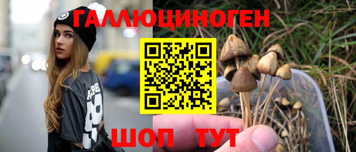 Псилоцибиновые грибы Cubensis  где купить наркоту  Алексеевка  Вход с VPN 